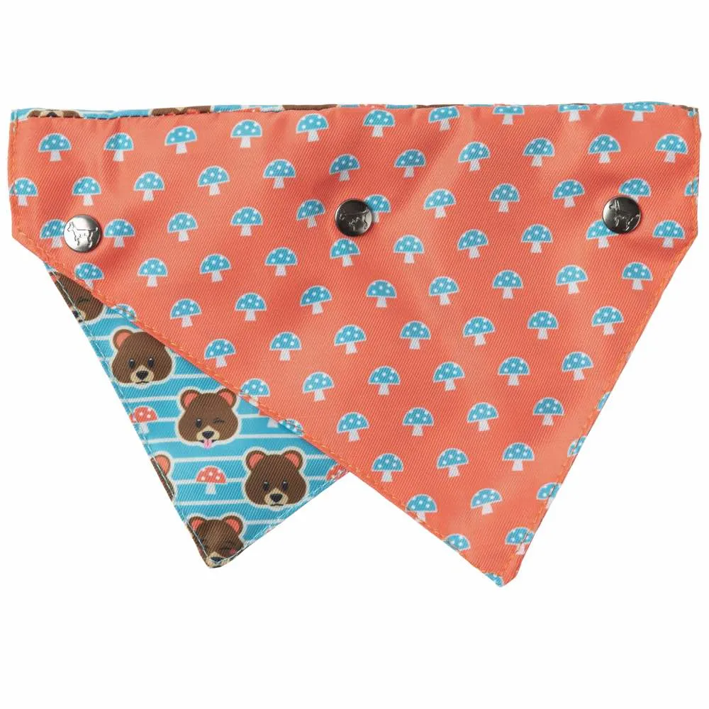 15% OFF: FuzzYard Pet Bandana (Fuzz Bear)