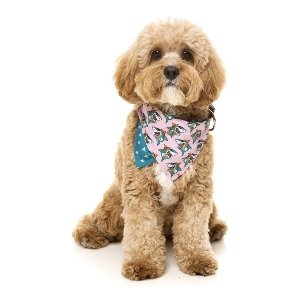 15% OFF: FuzzYard Pet Bandana (LL Cool Jaw$)