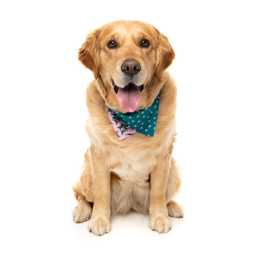 15% OFF: FuzzYard Pet Bandana (LL Cool Jaw$)