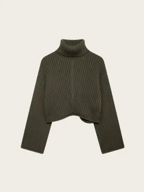 Clary Cropped Turtleneck Sweater