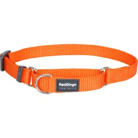 Classic Orange Martingale