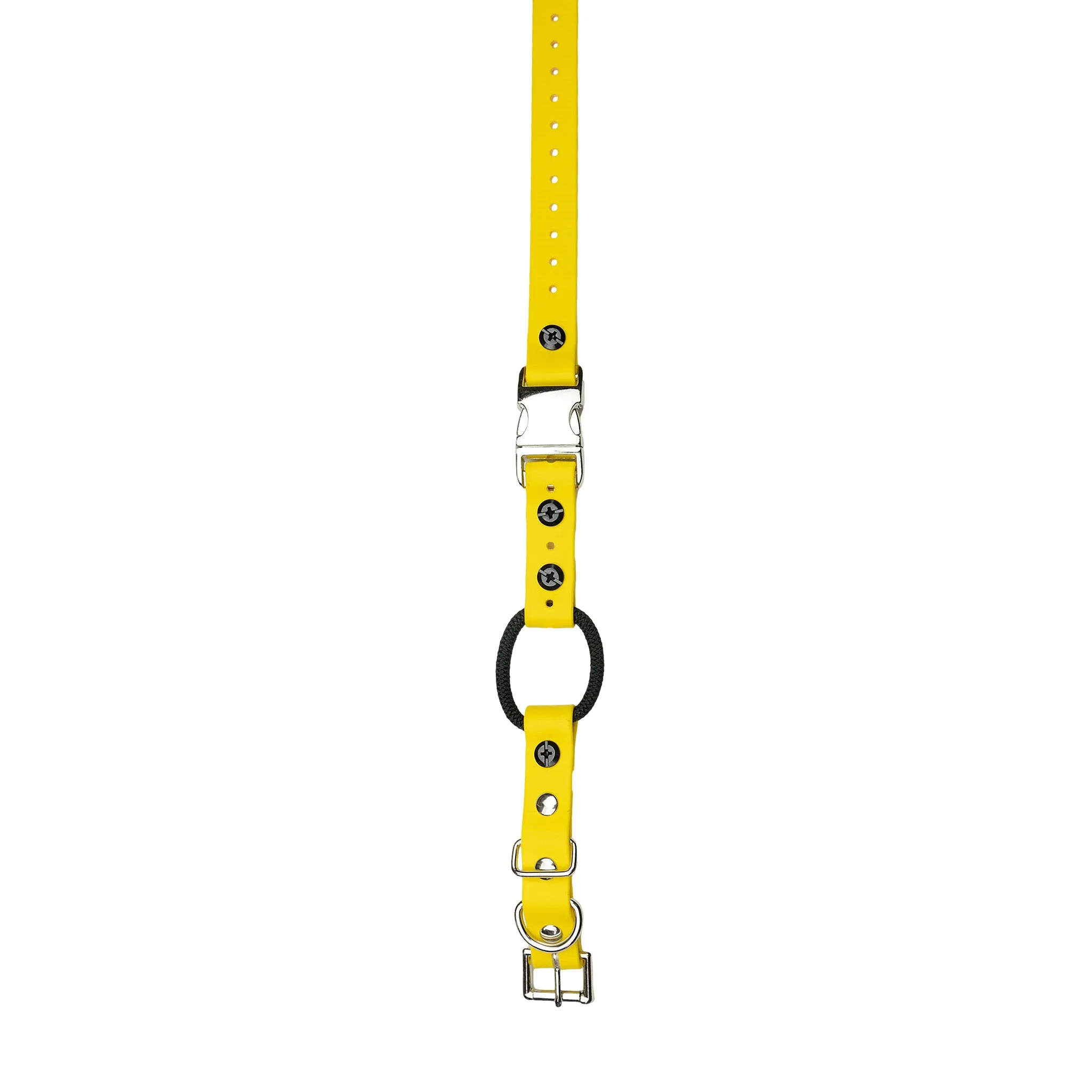 E-Collar Technologies 33" Biothane Collar with Quick Snap and Bungee