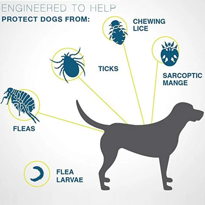 Flea and Tick Collar