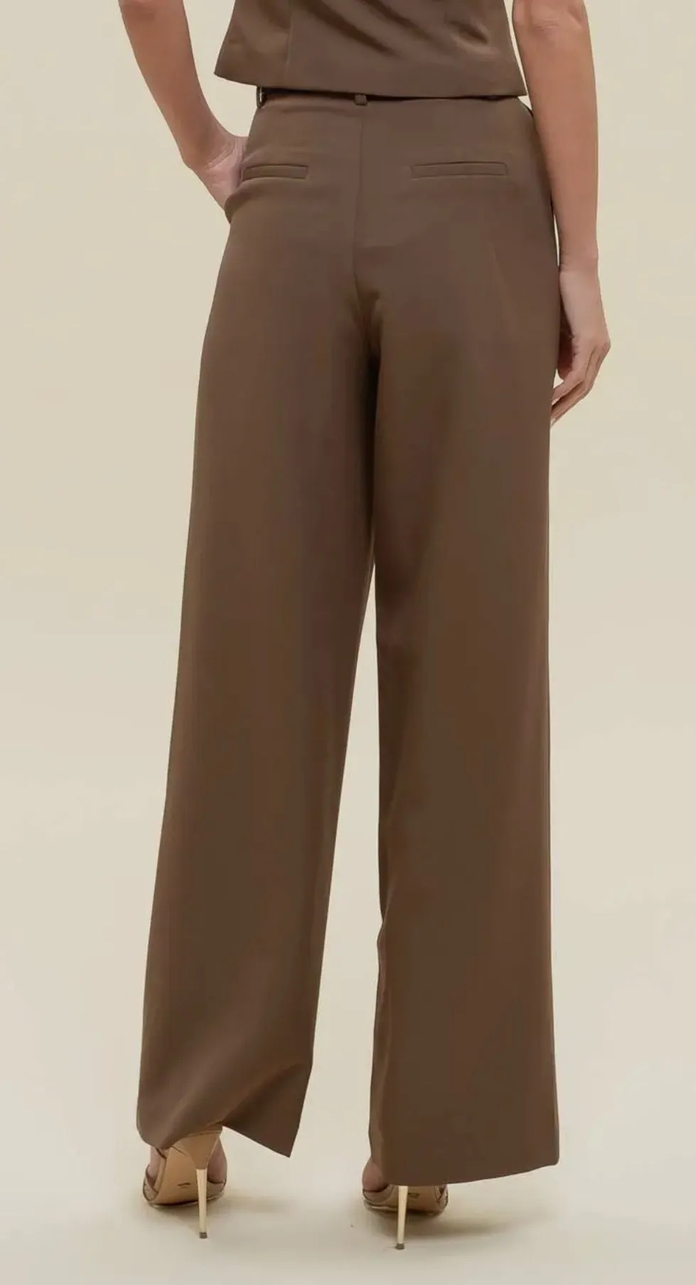 Lined Wide Leg Dress Pants