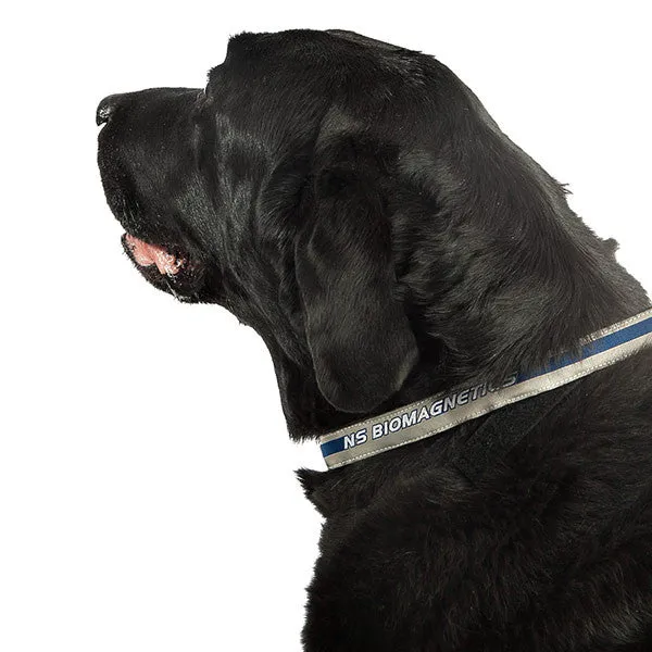 Magnetic Pet Collar