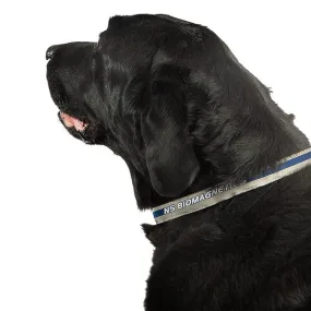 Magnetic Pet Collar