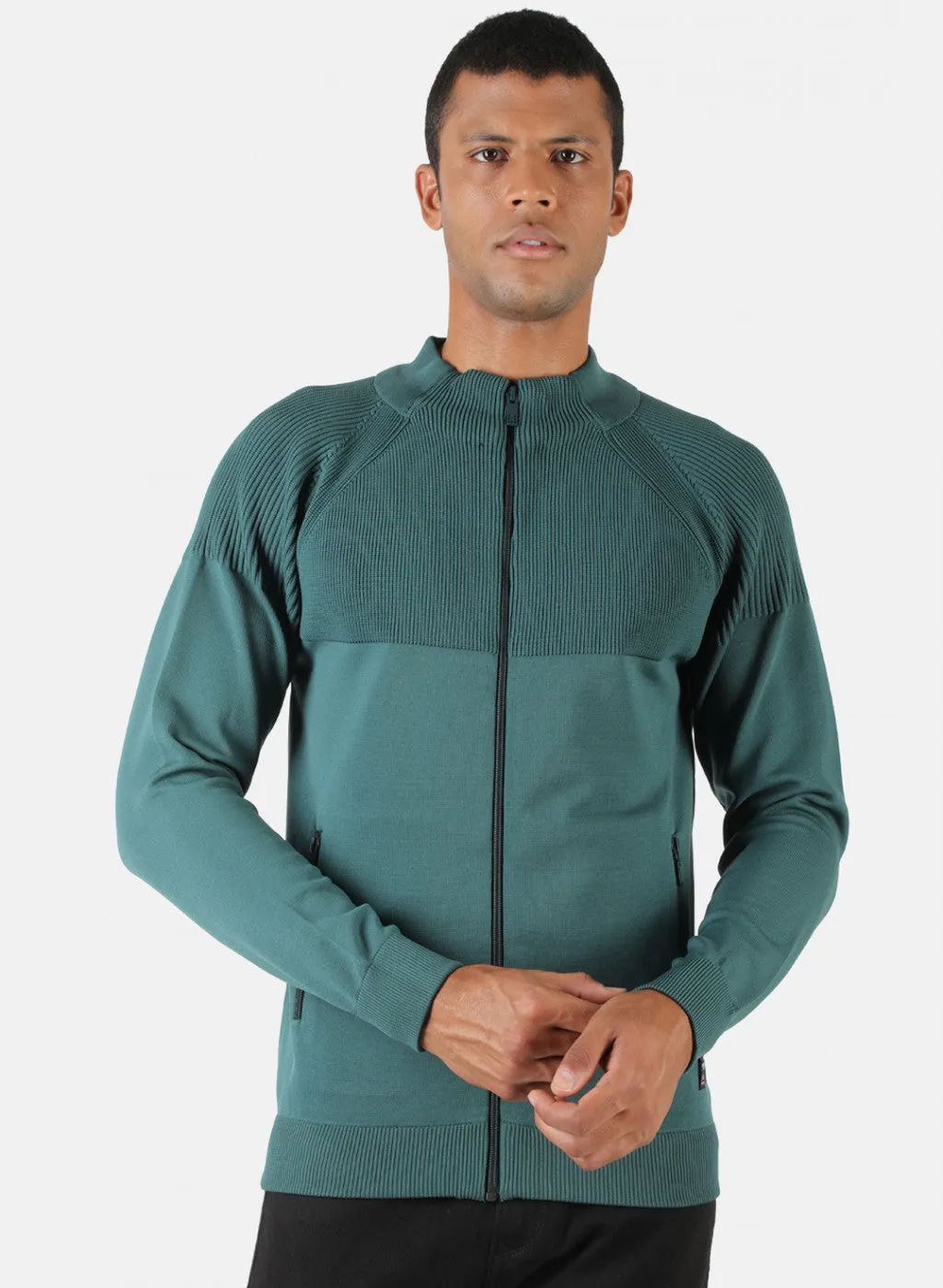 Men Sea Green Solid Pullover