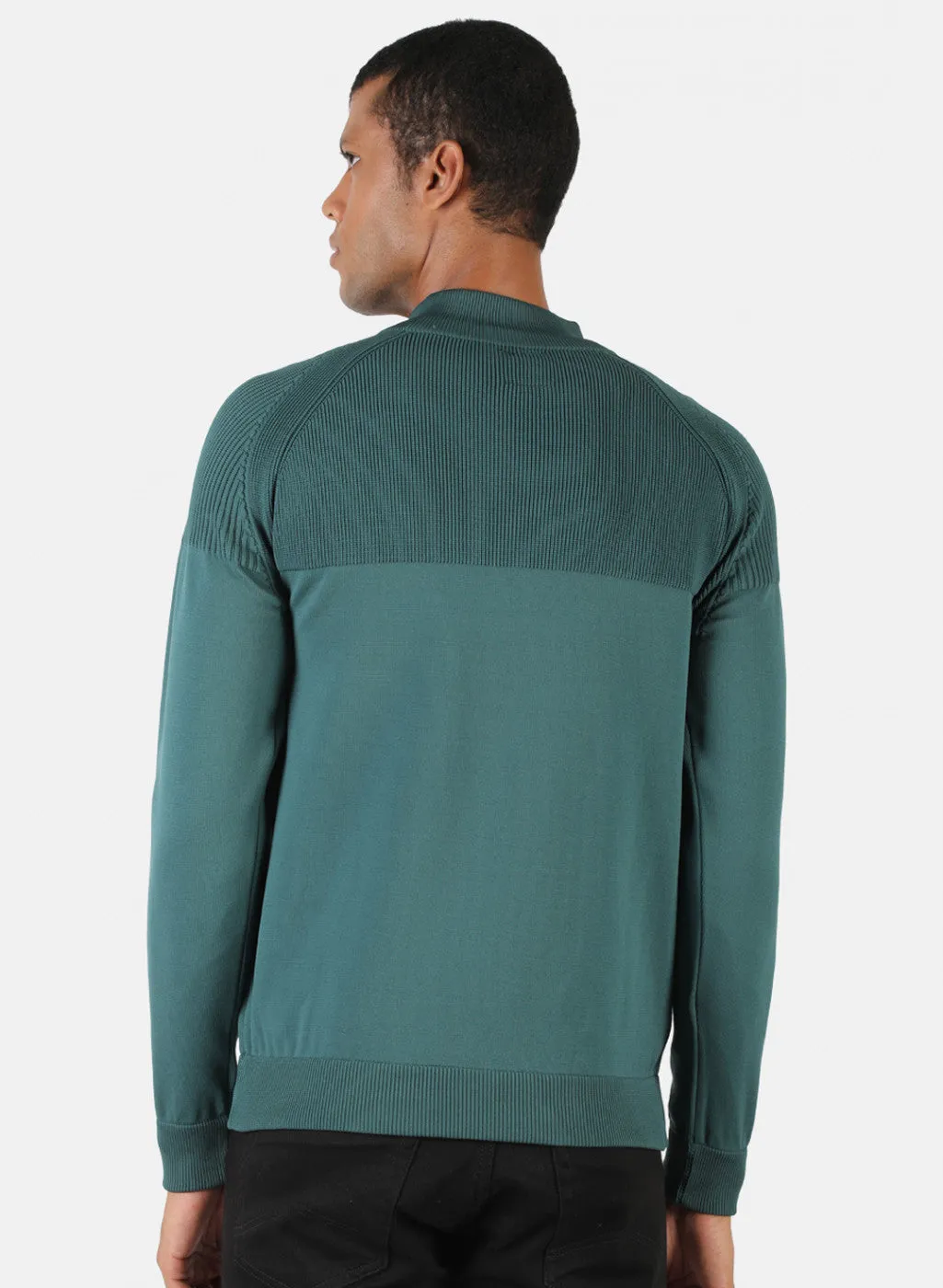 Men Sea Green Solid Pullover