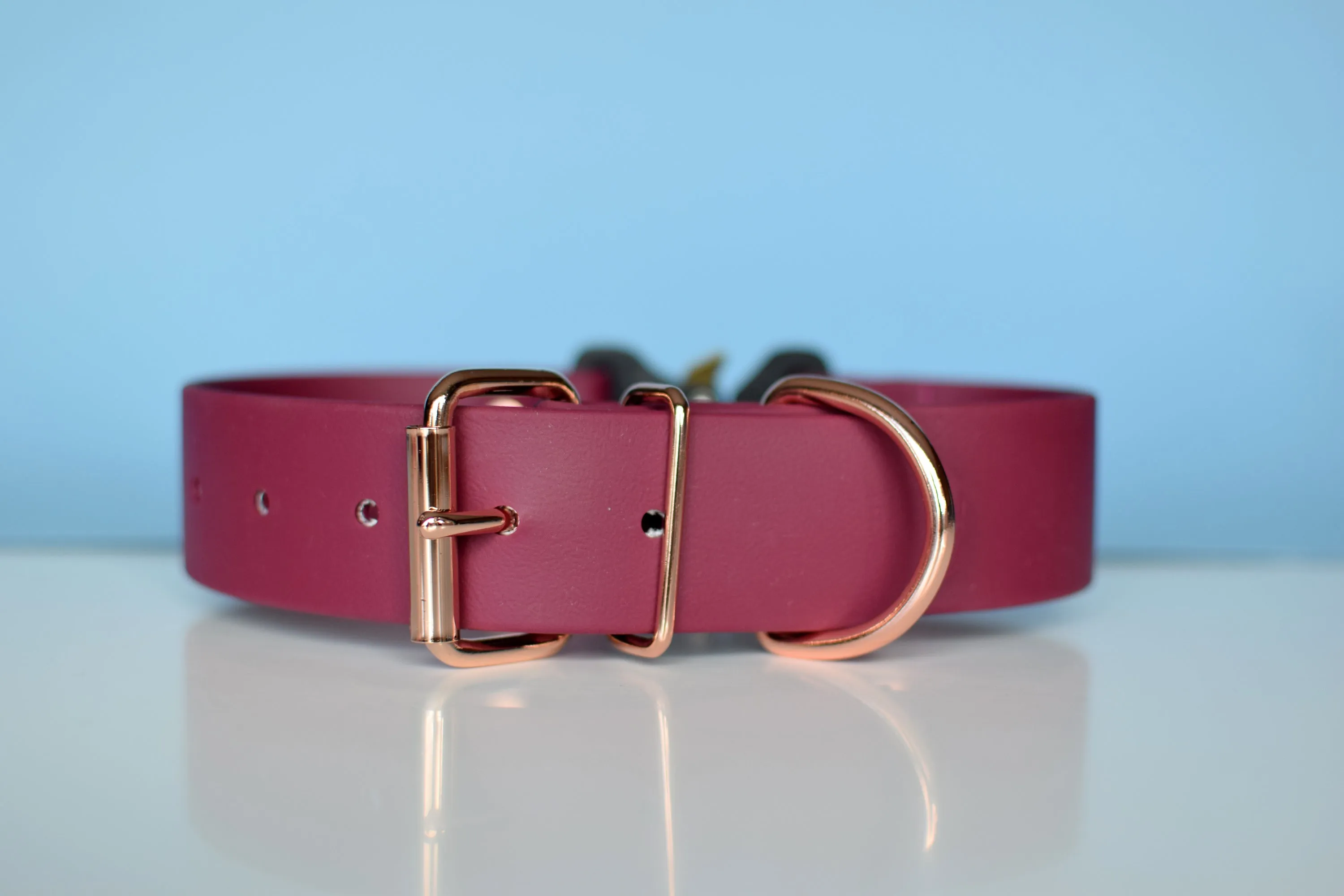 PREMADE COLLECTION - Burgundy Wine & Rose Gold Biothane Dog Collar