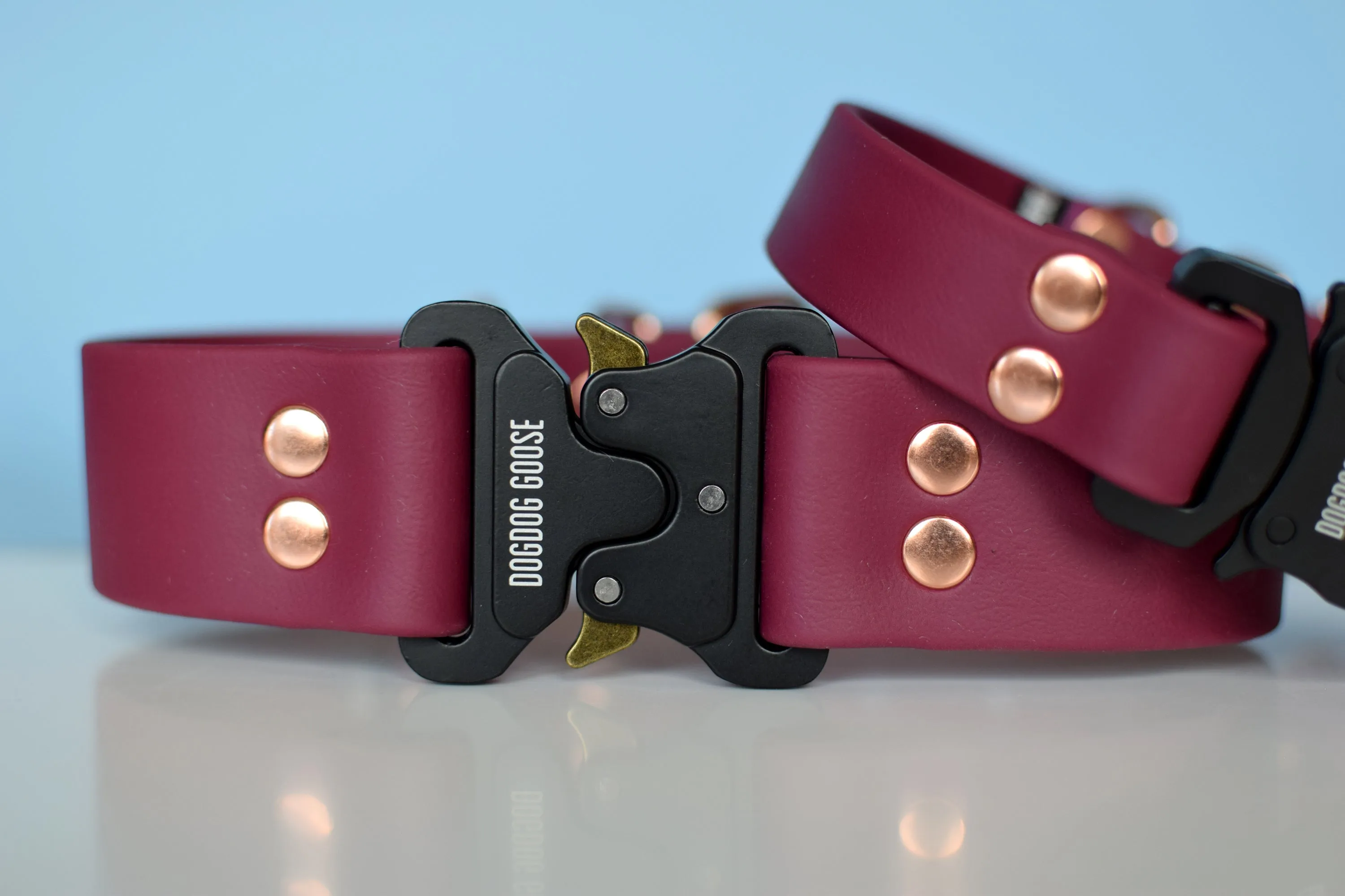 PREMADE COLLECTION - Burgundy Wine & Rose Gold Biothane Dog Collar