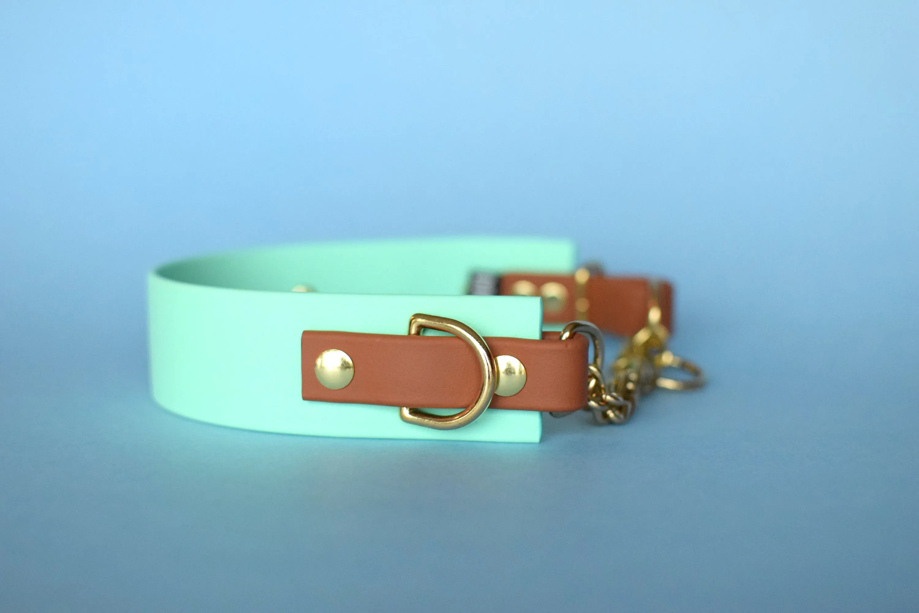 PREMADE COLLECTION - Seafoam & Tan Biothane Martingale Dog Collar