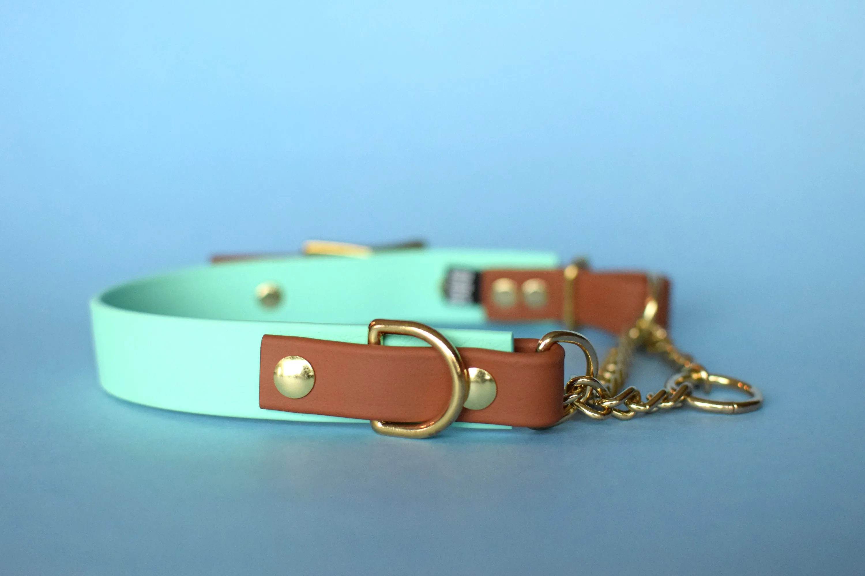 PREMADE COLLECTION - Seafoam & Tan Biothane Martingale Dog Collar