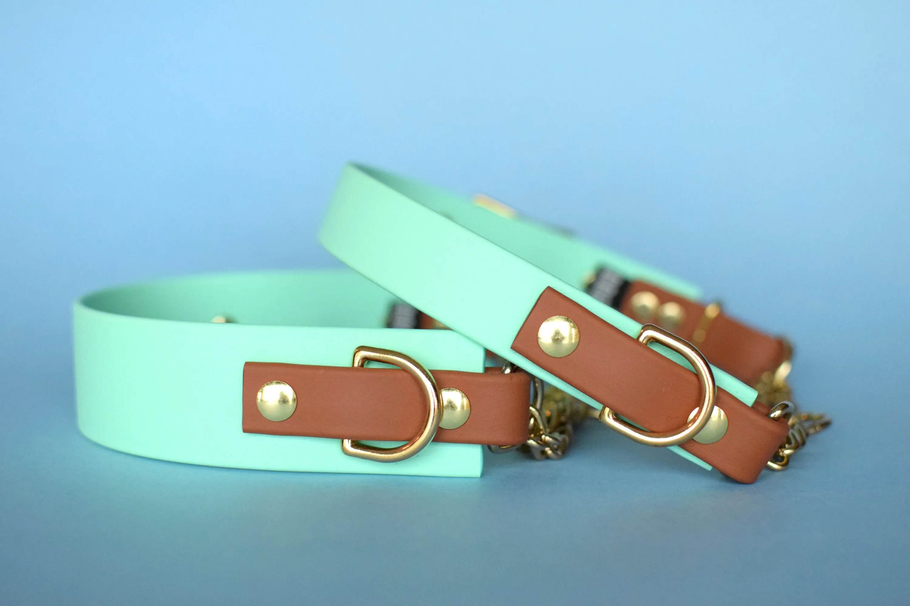 PREMADE COLLECTION - Seafoam & Tan Biothane Martingale Dog Collar