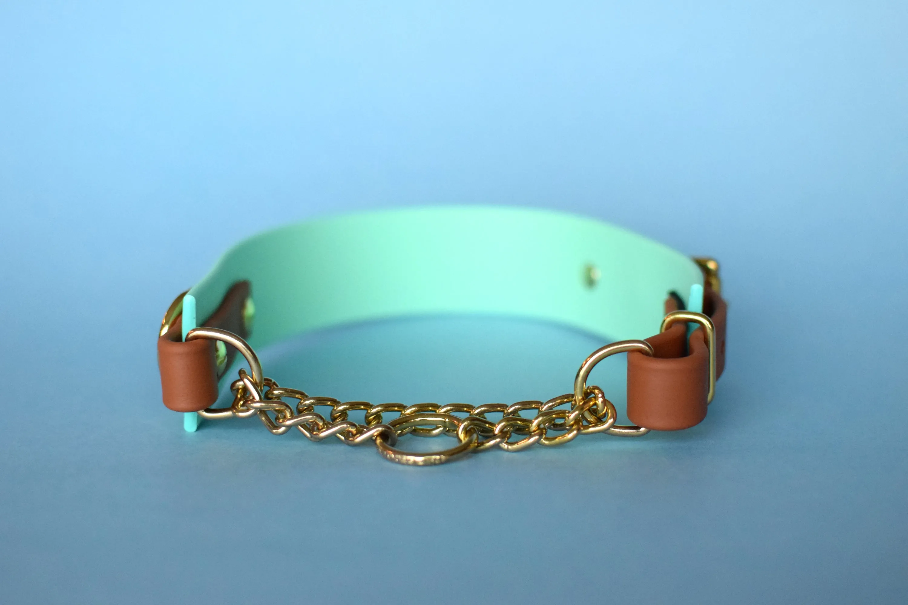 PREMADE COLLECTION - Seafoam & Tan Biothane Martingale Dog Collar