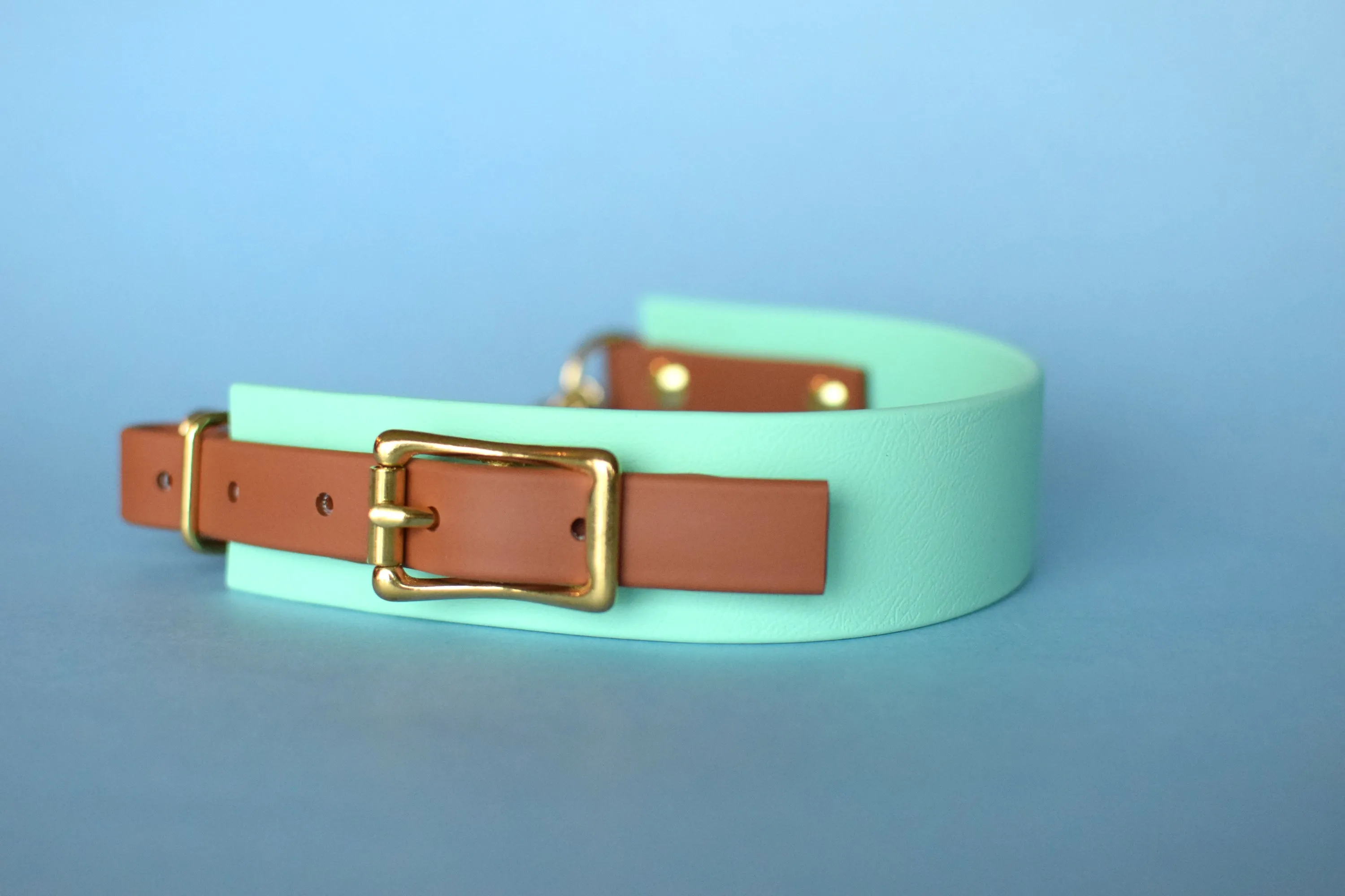 PREMADE COLLECTION - Seafoam & Tan Biothane Martingale Dog Collar