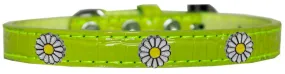 White Daisy Widget Croc Dog Collar Lime Green Size 12