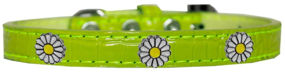 White Daisy Widget Croc Dog Collar Lime Green Size 12